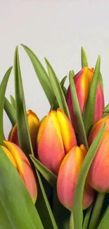 Vibrant bouquet of pink and orange tulips with green leaves.