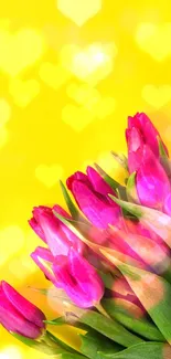 Vibrant pink tulips on a bold yellow background.