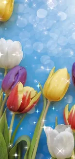 Vibrant tulips on a blue sky background with sparkles.