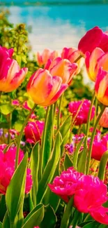 Vibrant tulips with a serene lake backdrop, perfect for spring enthusiasts.