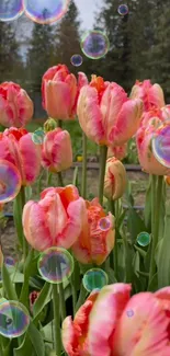 Pink tulips with bubbles in a vibrant garden landscape.