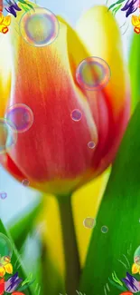 Vibrant tulip wallpaper with bubbles and vivid colors.