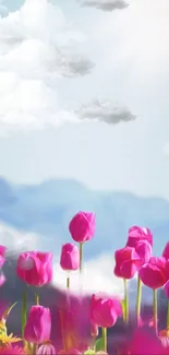 Vibrant pink tulips against a scenic mountain with clouds.