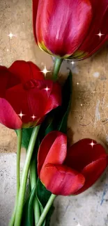 Vibrant red tulips with sparkles on a textured background.