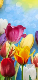 Colorful tulips with a blue sky background, perfect for mobile wallpaper.