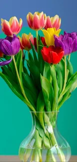 Vibrant tulips in a glass vase with teal background.