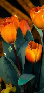 Orange tulips with green leaves in a vibrant floral mobile wallpaper.