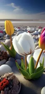 Colorful tulips with pebbles on a serene beach