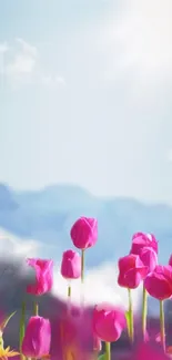 Pink tulips bloom under blue sky in mobile wallpaper.