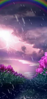 Purple tulips with a dramatic sky and rainbow.