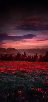 Vibrant sunset over red-tinted landscape with silhouetted trees and fields.