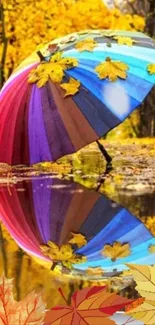 Colorful umbrella on autumn leaves reflected in a puddle.