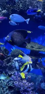 Colorful fish swimming in an underwater aquarium scene with vibrant coral.