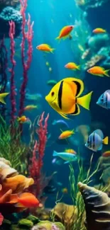 Colorful fish swim in a vibrant underwater aquarium scene surrounded by corals.