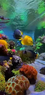 Colorful underwater aquarium with vibrant fish and corals in a lively scene.