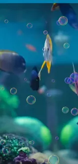 Colorful fish and bubbles in an underwater scene wallpaper.