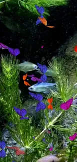 Colorful butterflies and fish in an underwater scene with green plants.