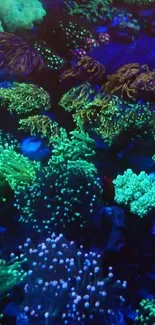 Vibrant underwater scene with colorful corals and marine life.