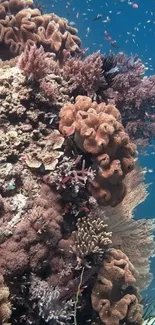 Vibrant coral reef teeming with marine life in the ocean.