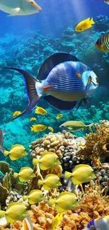 Colorful coral reef with diverse tropical fish.