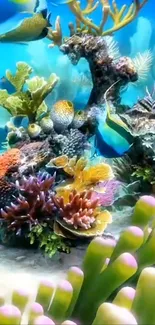 Vibrant coral reef with tropical fish.