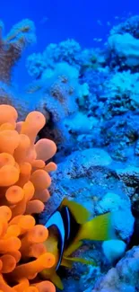 Vibrant underwater coral reef scene with marine life.