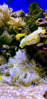 Colorful coral reef with vibrant tropical fish swimming in a stunning underwater scene.