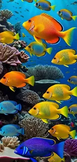 Colorful tropical fish swimming in a vibrant coral reef.