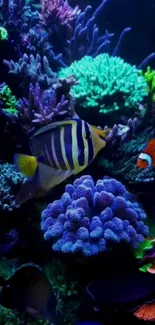 Vibrant underwater scene with coral and fish.