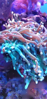 Vibrant coral reef with colorful marine life.