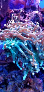 Underwater coral reef with vibrant marine life and colorful hues.