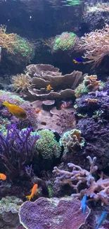 Colorful coral reef with marine life.