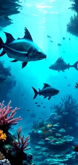 Underwater scene with corals and fish swimming in the blue ocean.