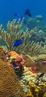 Colorful coral reef with vibrant blue fish swimming.