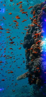 Colorful coral reef with vibrant fish in the ocean.