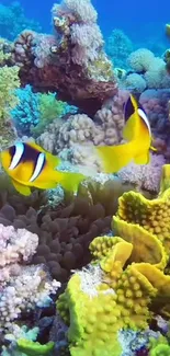 Underwater coral scene with clownfish and vibrant marine life.