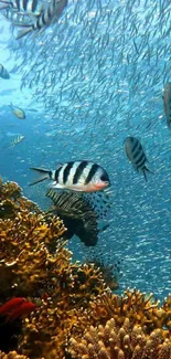 Colorful coral reef with tropical fish swimming.