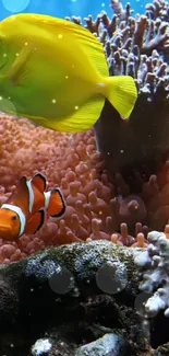 Vibrant coral reef with fish swimming.