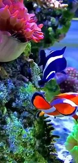 Colorful coral scene with clownfish and lush marine life.