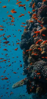 Vibrant coral reef with orange fish and blue ocean background.