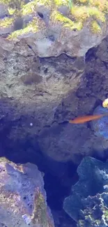 Vibrant underwater scene with coral and fish.