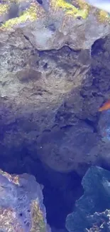 Vibrant fish swimming in a coral reef.