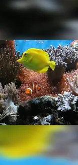 Vibrant coral reef scene with fish.