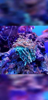 Vibrant underwater coral reef with colorful marine life.