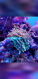 Vibrant coral reef in purple hues.