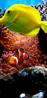 Colorful coral reef with tropical fish swimming in a vibrant marine environment.