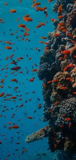 Colorful coral reef with vibrant fish swimming underwater.