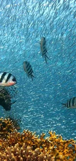 Vibrant underwater coral reef scene with tropical fish.