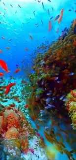 Colorful underwater coral reef with vibrant fish.