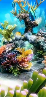 Vibrant underwater scene with colorful corals and marine life.